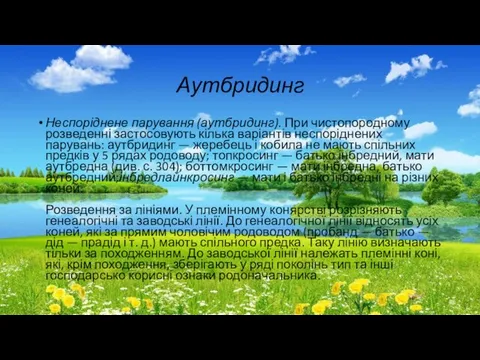 Аутбридинг Неспоріднене парування (аутбридинг). При чистопородному розведенні застосовують кілька варіантів неспоріднених