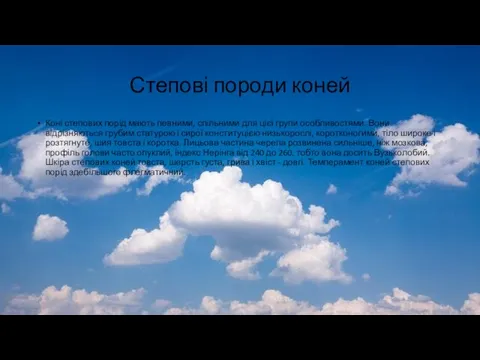 Степові породи коней Коні степових порід мають певними, спільними для цієї