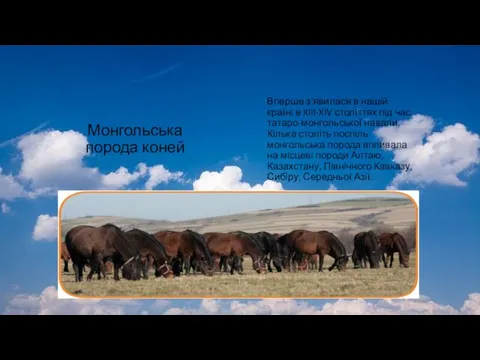 Монгольська порода коней Вперше з'явилася в нашій країні в XIII-XIV століттях