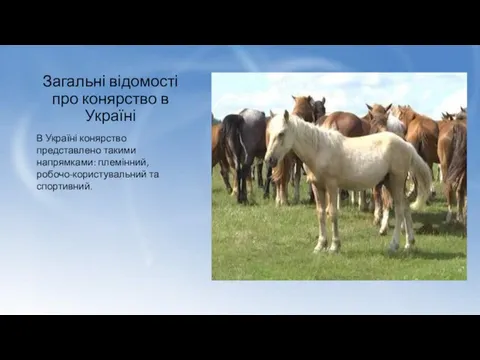 Загальні відомості про конярство в Україні В Україні конярство представлено такими напрямками: племінний, робочо-користувальний та спортивний.