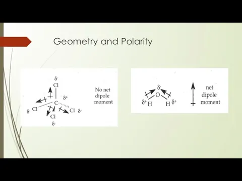 Geometry and Polarity