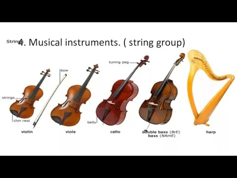 4. Musical instruments. ( string group)