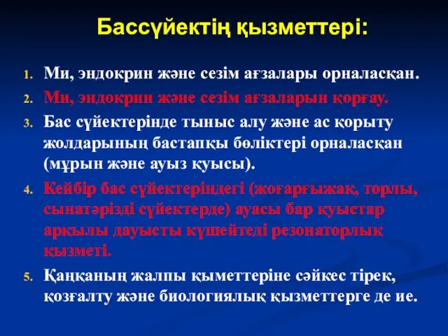 Бассүйектің қызметтері: Ми, эндокрин және сезім ағзалары орналасқан. Ми, эндокрин және