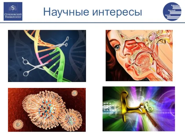 Научные интересы