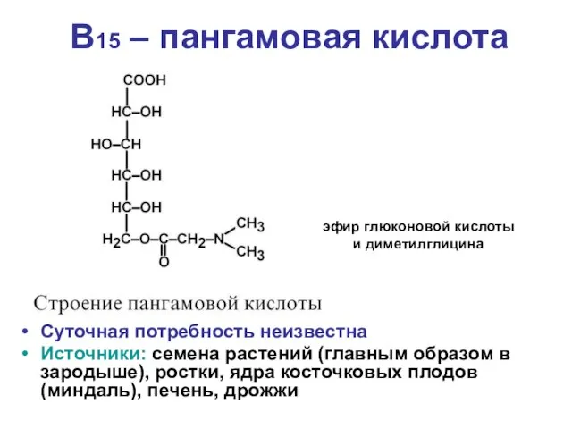 В15 – пангамовая кислота Суточная потребность неизвестна Источники: семена растений (главным