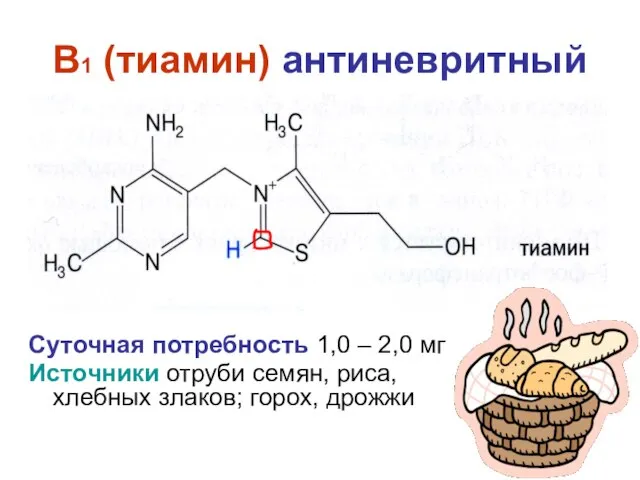 B1 (тиамин) антиневритный Суточная потребность 1,0 – 2,0 мг Источники отруби