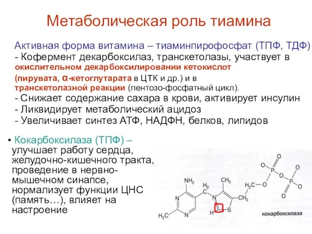 Метаболическая роль тиамина Активная форма витамина – тиаминпирофосфат (ТПФ, ТДФ) -