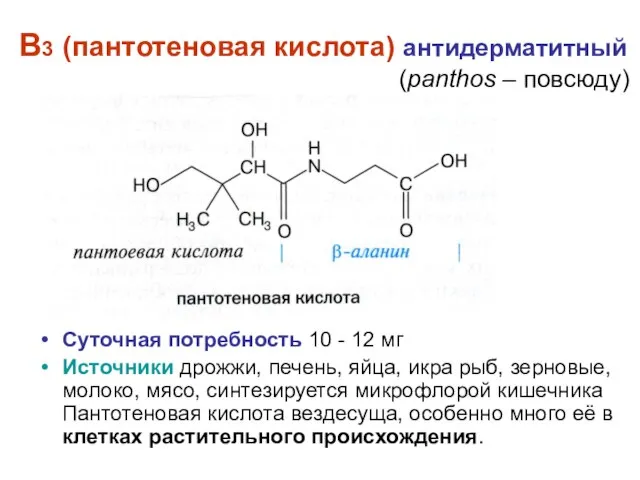 В3 (пантотеновая кислота) антидерматитный (panthos – повсюду) Суточная потребность 10 -