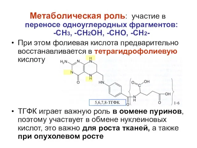 Метаболическая роль: участие в переносе одноуглеродных фрагментов: -СН3, -СН2ОН, -СНО, -СН2-