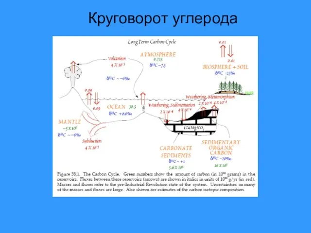 Круговорот углерода