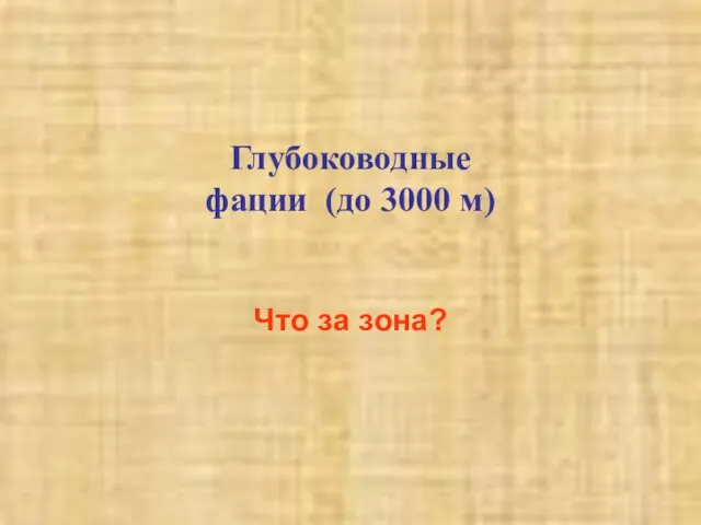 Глубоководные фации (до 3000 м) Что за зона?