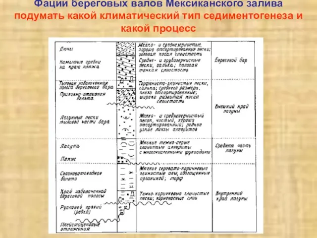 Фации береговых валов Мексиканского залива подумать какой климатический тип седиментогенеза и какой процесс