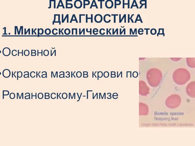 ЛАБОРАТОРНАЯ ДИАГНОСТИКА 1. Микроскопический метод Основной Окраска мазков крови по Романовскому-Гимзе