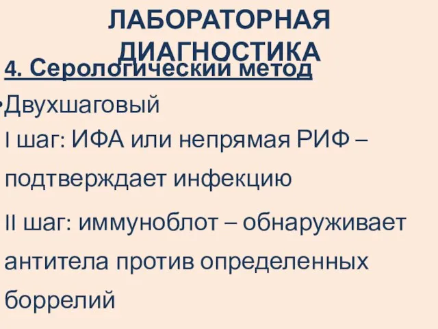 4. Серологический метод Двухшаговый I шаг: ИФА или непрямая РИФ –