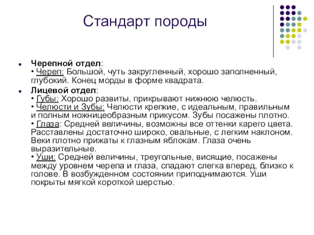 Стандарт породы Черепной отдел: • Череп: Большой, чуть закругленный, хорошо заполненный,