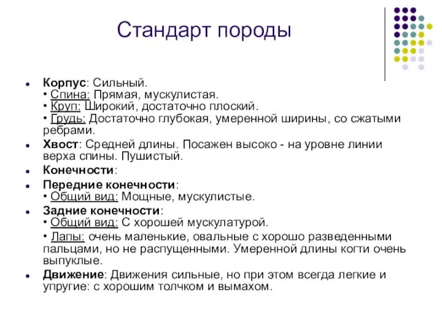 Стандарт породы Корпус: Сильный. • Спина: Прямая, мускулистая. • Круп: Широкий,