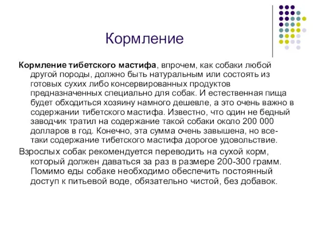 Кормление Кормление тибетского мастифа, впрочем, как собаки любой другой породы, должно