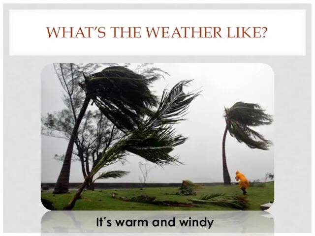 WHAT’S THE WEATHER LIKE? It’s warm and windy