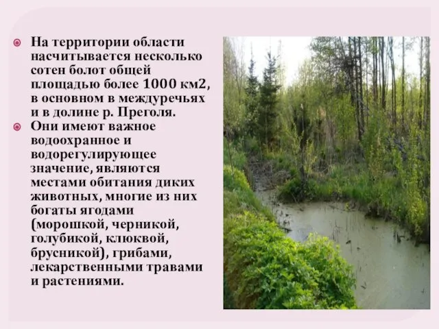 На территории области насчитывается несколько сотен болот общей площадью более 1000