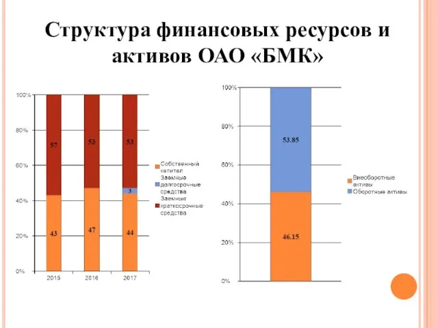 Структура финансовых ресурсов и активов ОАО «БМК»