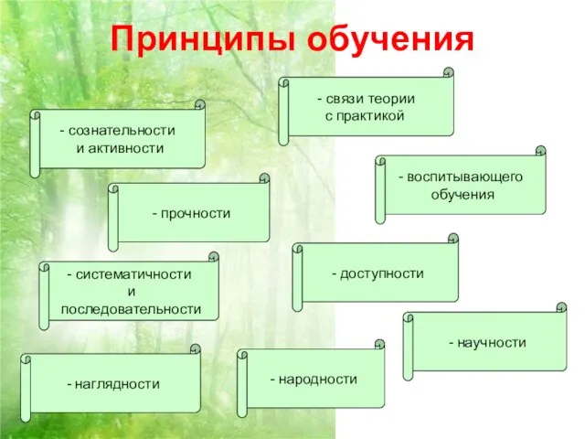 Принципы обучения сознательности и активности - прочности - научности - доступности