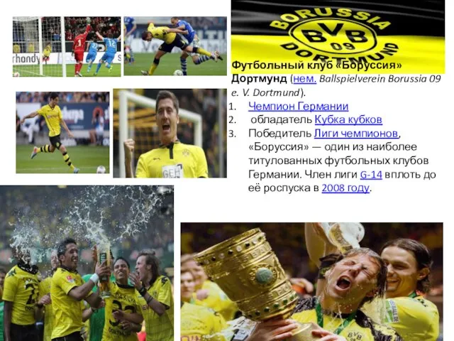 Футбольный клуб «Боруссия» Дортмунд (нем. Ballspielverein Borussia 09 e. V. Dortmund).