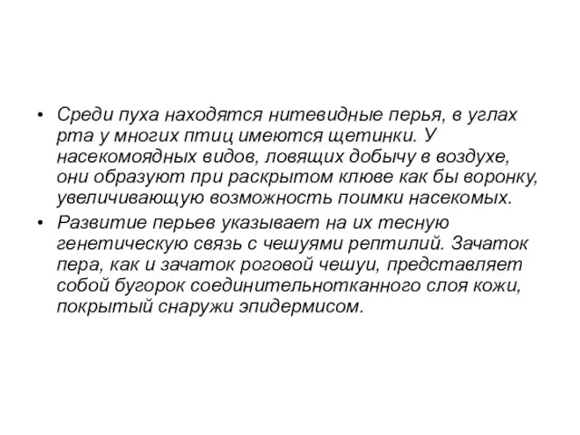 Среди пуха находятся нитевидные перья, в углах рта у многих птиц