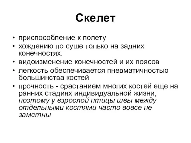 Скелет приспособление к полету хождению по суше только на задних конечностях.