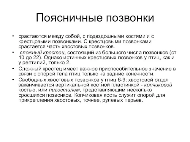 Поясничные позвонки срастаются между собой, с подвздошными костями и с крестцовыми