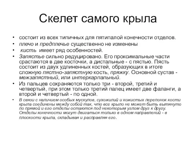 Скелет самого крыла состоит из всех типичных для пятипалой конечности отделов.