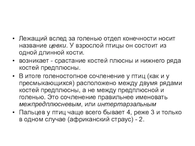 Лежащий вслед за голенью отдел конечности носит название цевки. У взрослой