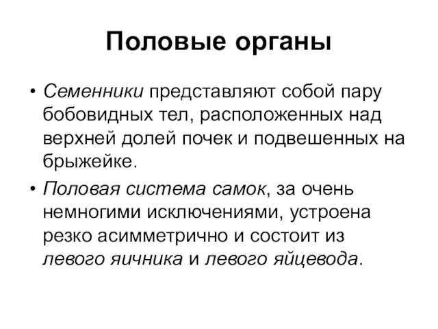 Половые органы Семенники представляют собой пару бобовидных тел, расположенных над верхней