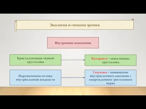 Экология и гигиена зрения Внутренние изменения Кристаллизация тканей хрусталика Нарушениями оттока