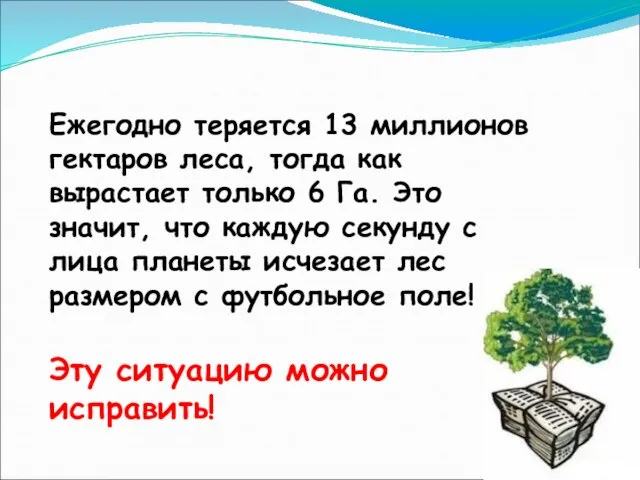 Ежегодно теряется 13 миллионов гектаров леса, тогда как вырастает только 6