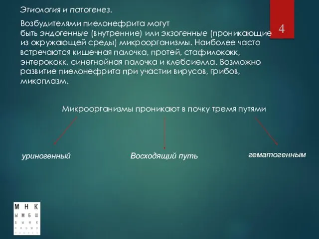 Этиология и патогенез. Возбудителями пиелонефрита могут быть эндогенные (внутренние) или экзогенные