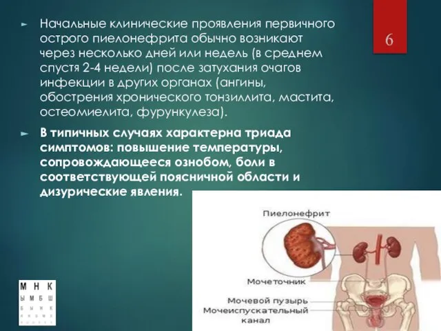 Начальные клинические проявления первичного острого пиелонефрита обычно возникают через несколько дней