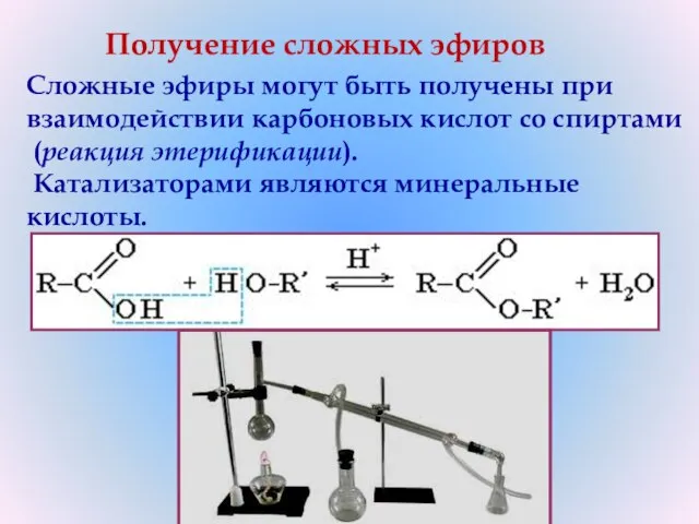 Cложные эфиры могут быть получены при взаимодействии карбоновых кислот со спиртами