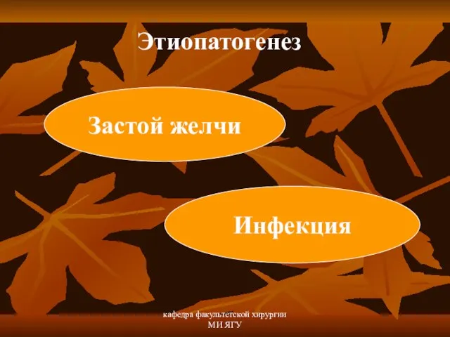 кафедра факультетской хирургии МИ ЯГУ Этиопатогенез Застой желчи Инфекция