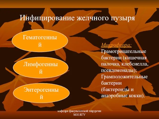 кафедра факультетской хирургии МИ ЯГУ Инфицирование желчного пузыря Гематогенный Лимфогенный Энтерогенный