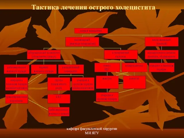 кафедра факультетской хирургии МИ ЯГУ Тактика лечения острого холецистита