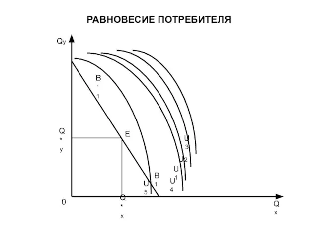 РАВНОВЕСИЕ ПОТРЕБИТЕЛЯ Q*y Q*x Qy Qx U1 U2 U3 U4 U5 E B‘1 B1 0