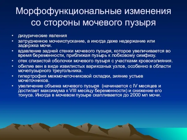 Морфофункциональные изменения со стороны мочевого пузыря дизурические явления затрудненное мочеиспускание, а