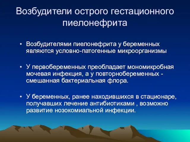 Возбудители острого гестационного пиелонефрита Возбудителями пиелонефрита у беременных являются условно-патогенные микроорганизмы