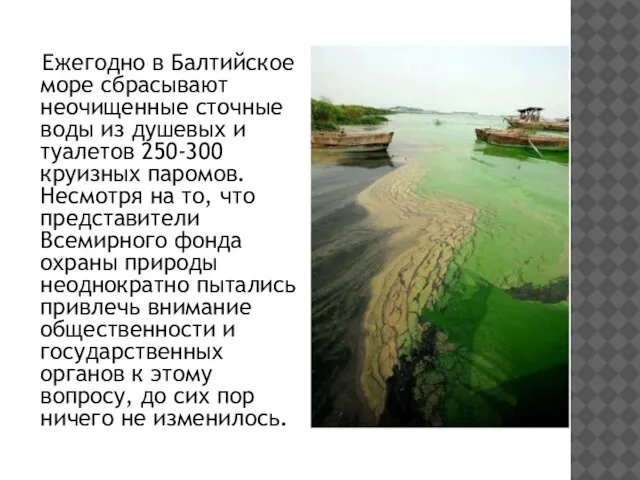 Ежегодно в Балтийское море сбрасывают неочищенные сточные воды из душевых и