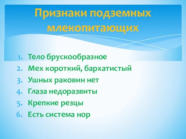 Тело брускообразное Мех короткий, бархатистый Ушных раковин нет Глаза недоразвиты Крепкие