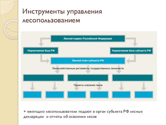 Инструменты управления лесопользованием + ежегодно лесопользователи подают в орган субъекта РФ