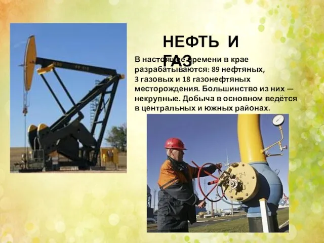 НЕФТЬ И ГАЗ В настоящее времени в крае разрабатываются: 89 нефтяных,