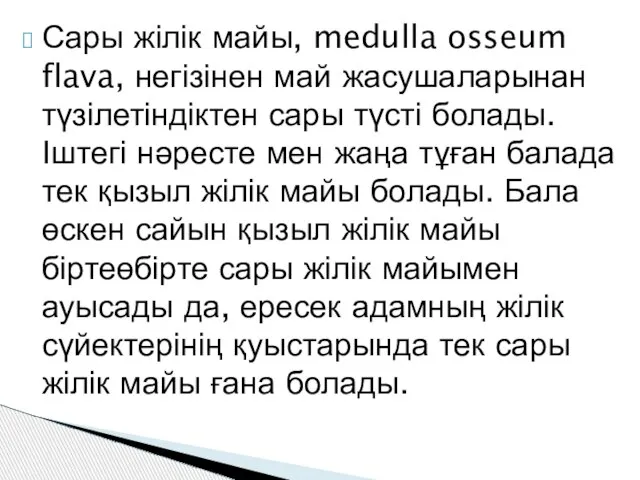 Сары жілік майы, medulla osseum flava, негізінен май жасушаларынан түзілетіндіктен сары