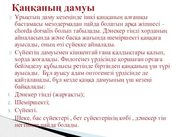 Ұрықтың даму кезеңінде ішкі қаңқаның алғашқы бастамасы мезодермадан пайда болатын арқа