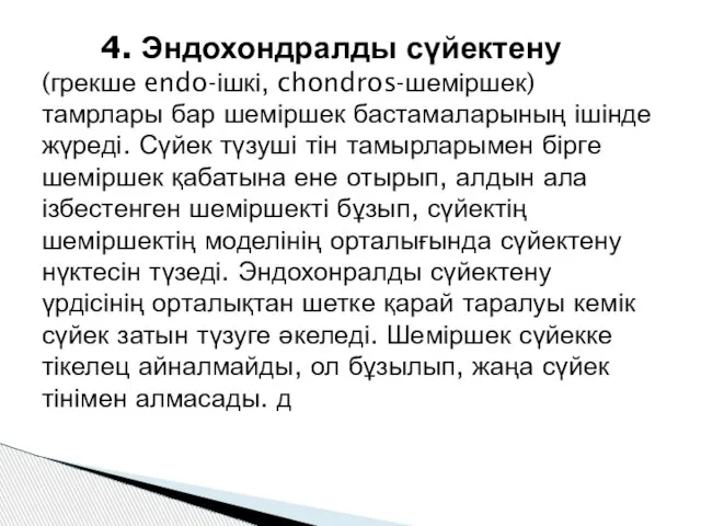 4. Эндохондралды сүйектену (грекше endo-ішкі, chondros-шеміршек) тамрлары бар шеміршек бастамаларының ішінде